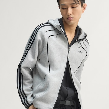ADIDAS ORIGINALS Кофта на молнии 'Teamgeist 26' в Серый