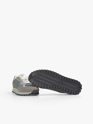 Sneaker bassa 'Paul' di Scalpers in grigio