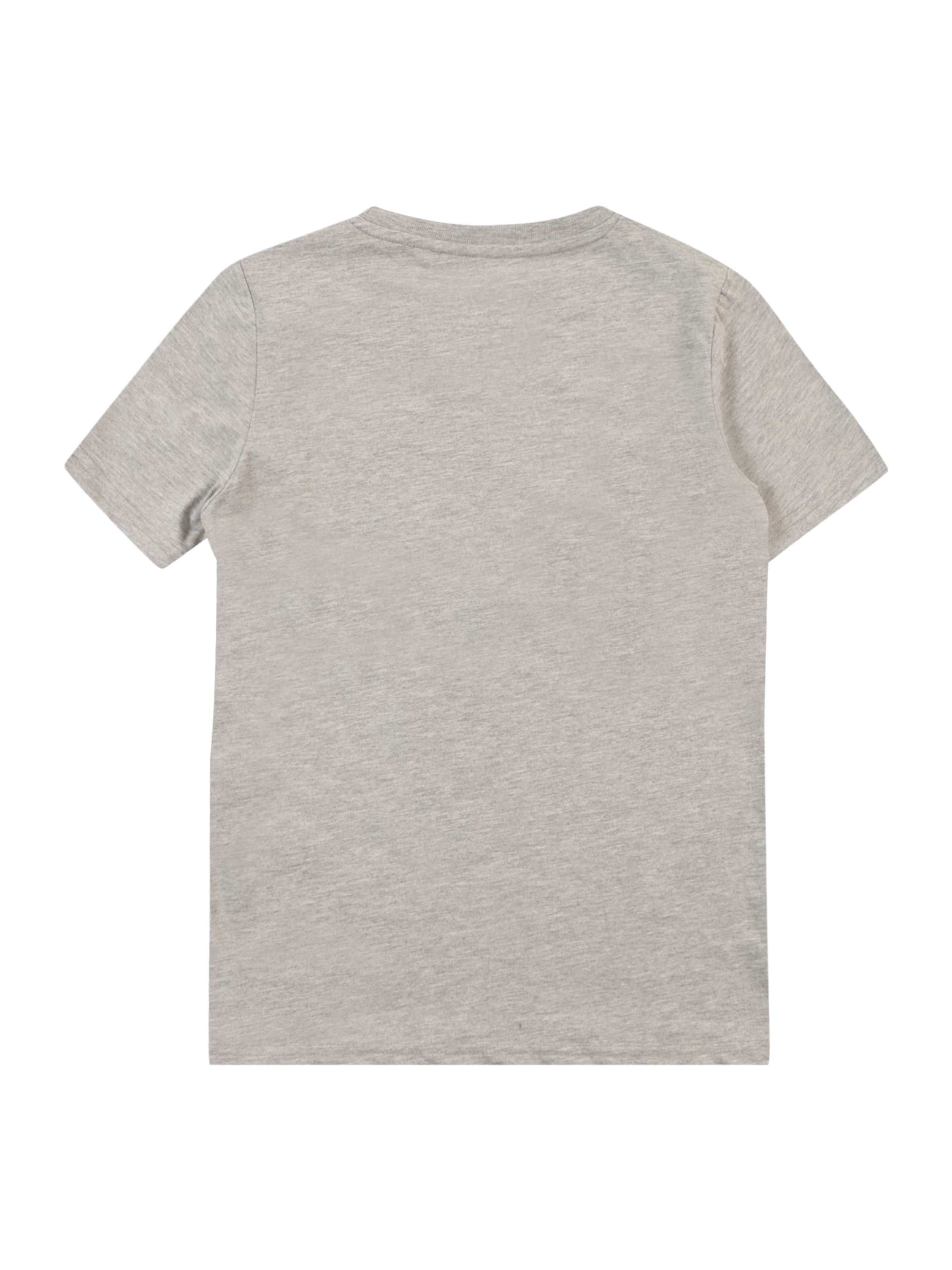 ALPHA INDUSTRIES T-Shirt in Grau