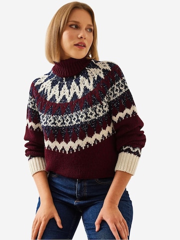 Bianco Lucci - Pullover 'Pullover' em vermelho