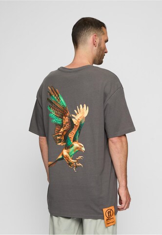 Forgotten Faces T-Shirt 'Falcon' in Grau: Vorderseite