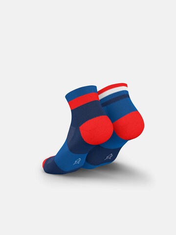 INCYLENCE Athletic Socks 'BANDS SHORT' in Blue