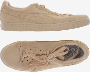 PUMA Sneaker 41 in Beige: predná strana