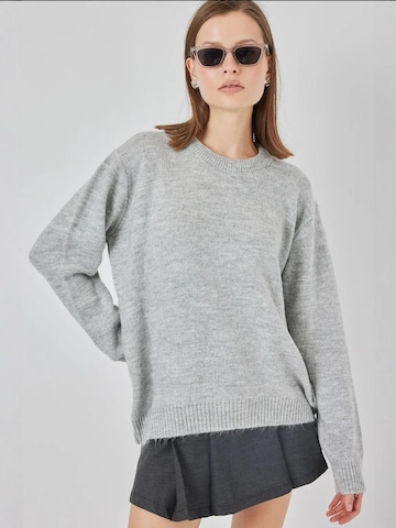 BigdartPulover 'Pullover' - siva boja: prednji dio