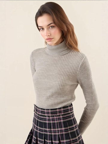 Bigdart Trui in Grijs