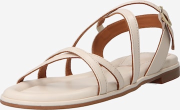 Billi Bi Strap Sandals in White: front
