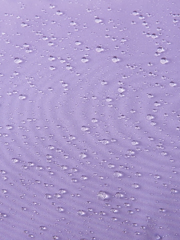 Reima Weatherproof jacket 'Paimio' in Purple: top