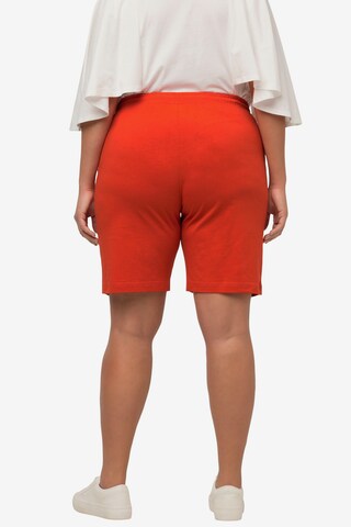 Ulla Popken Regular Pants in Orange