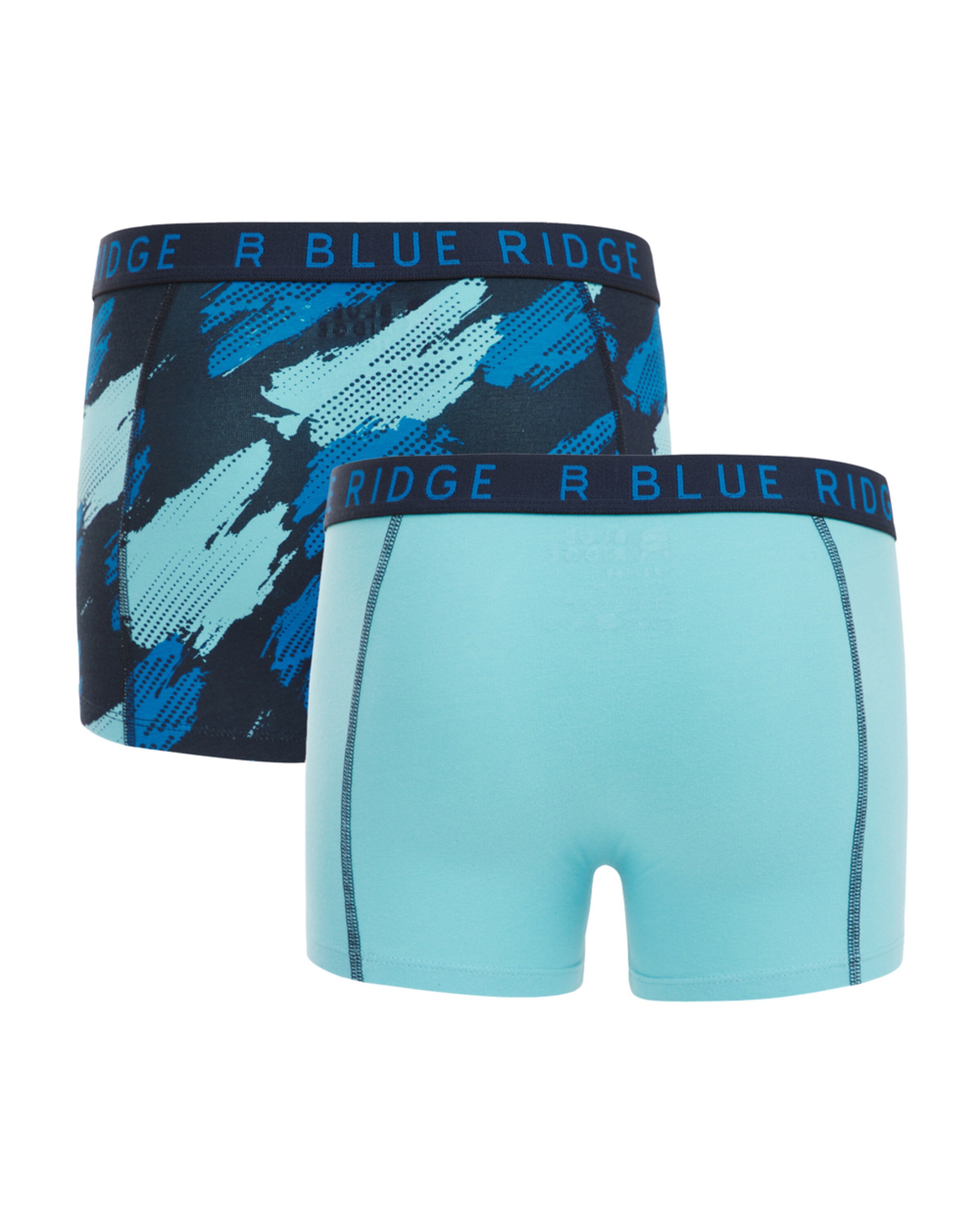 WE Fashion Underpants in Blue