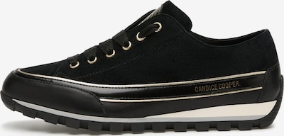 Candice Cooper Schnürschuh 'JANIS' in 36 in schwarz, Produktansicht