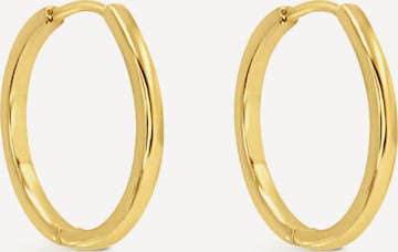 ARS-ARGENTI Earrings 'NAUGHTY HOOPS' in Gold: front