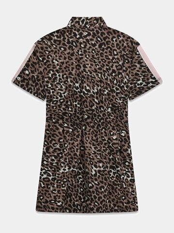 GUESS Dress in Brown