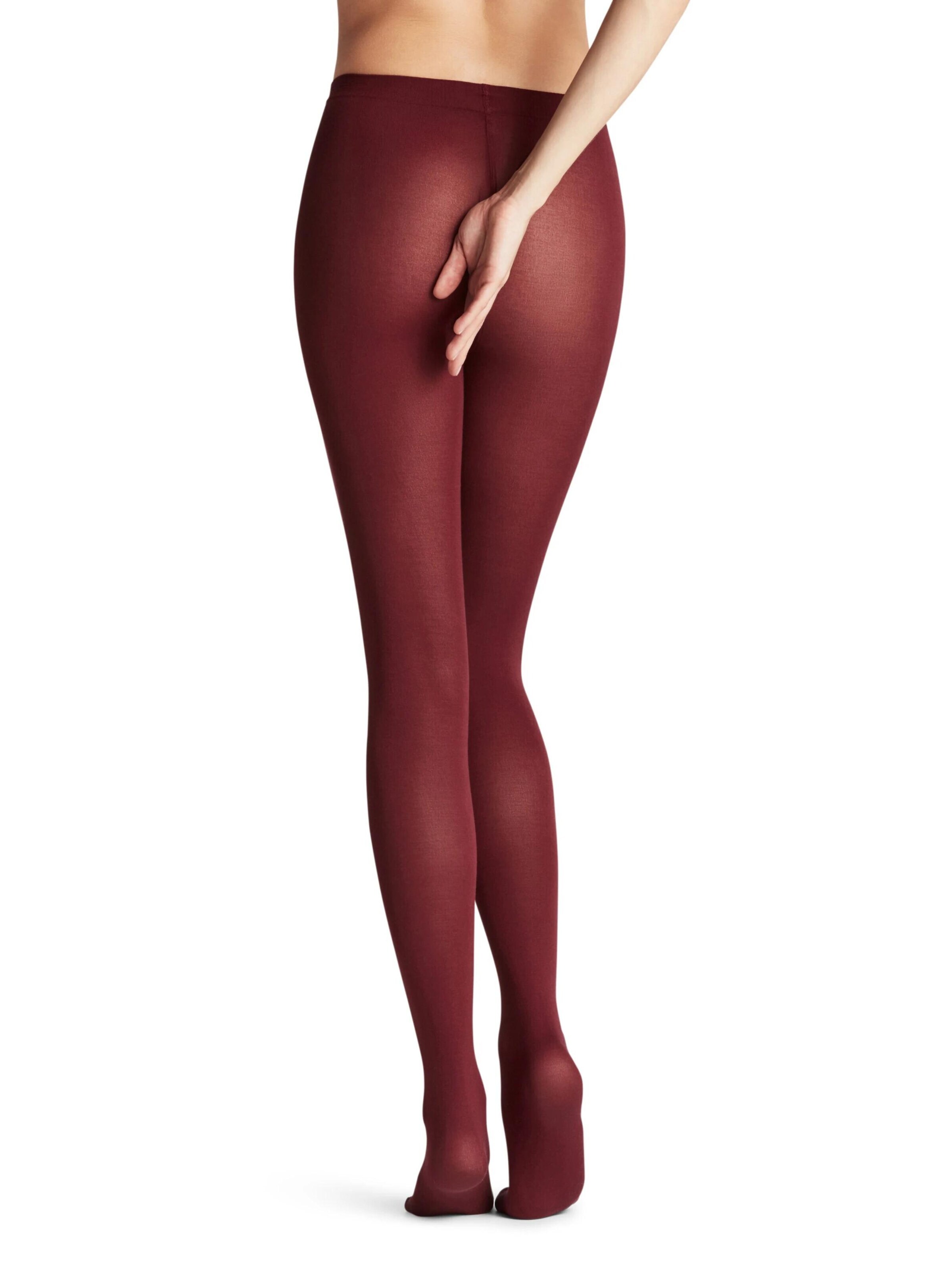 FALKE Strumpfhose 'Cotton Touch'‌‌‌‌‌‌‌‌‌‌ in Rot