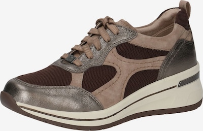 CAPRICE Sneaker in schoko / hellbraun / silber, Produktansicht
