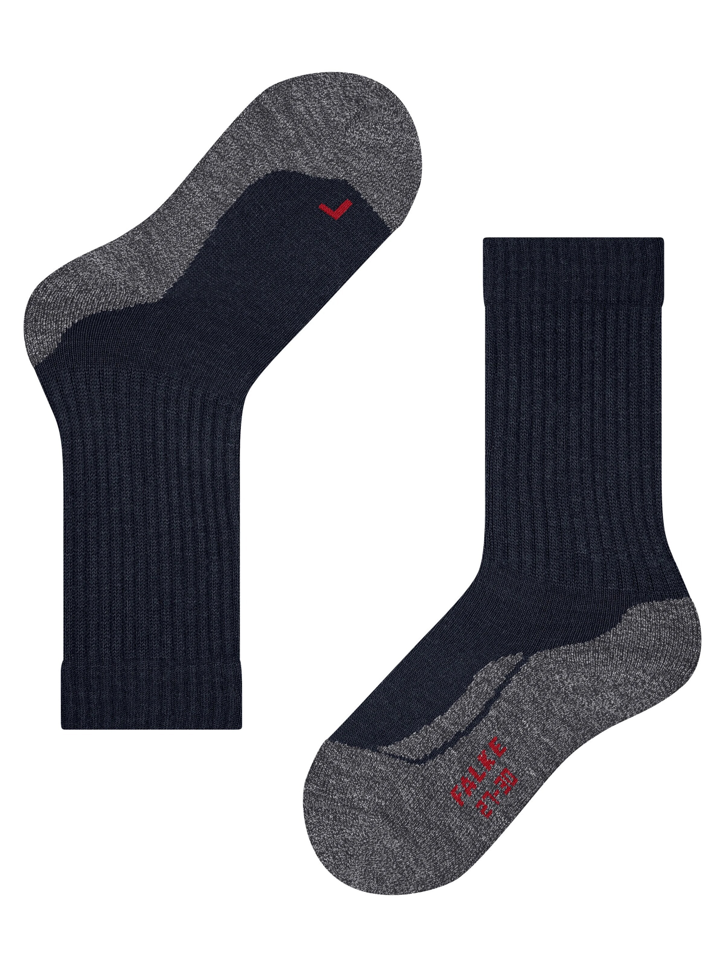 FALKE Socks 'Active Warm' in Blue