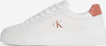 Baskets basses Calvin Klein en blanc : devant