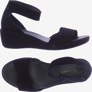 THINK! Sandals & High-Heeled Sandals in 38 in Black: front