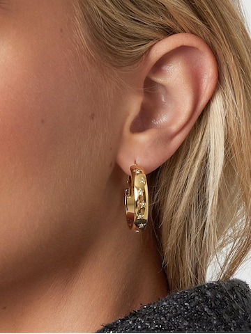 Cala Rose Earrings 'STAR HOOPS' in Gold