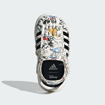 ADIDAS SPORTSWEAR Athletic Shoes in White