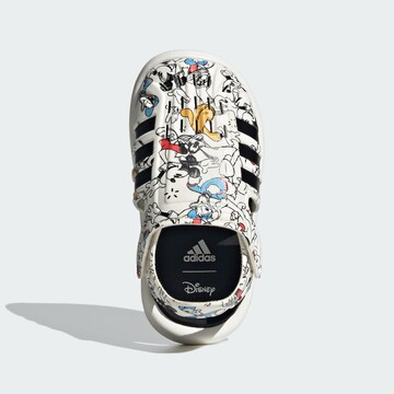 Scarpa sportiva di ADIDAS SPORTSWEAR in bianco