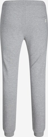 JACK & JONES Tapered Pants 'WILL' in Grey