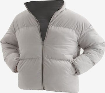 pilka Antioch Žieminė striukė: priekis