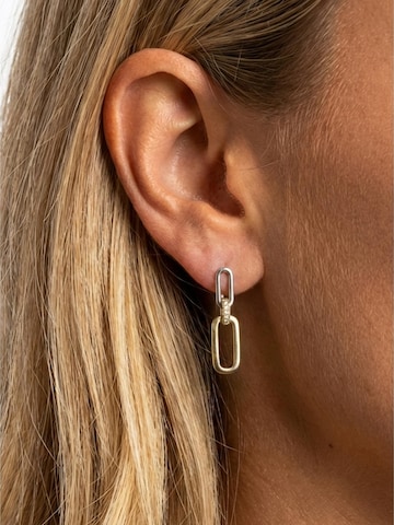 Kamiko Oorbellen 'WILLOW' in Gemengde kleuren