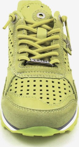 Cetti Sneakers in Yellow