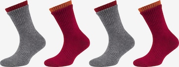 s.Oliver Socks in Grey: front