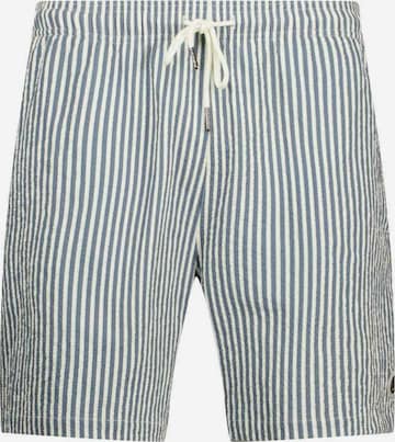 Deeluxe Board Shorts 'Pedro' in Blue: front