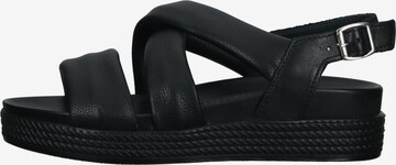 IGI&CO Sandalen met riem in Zwart