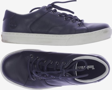 TIMBERLAND Sneakers & Trainers in 41 in Blue: front