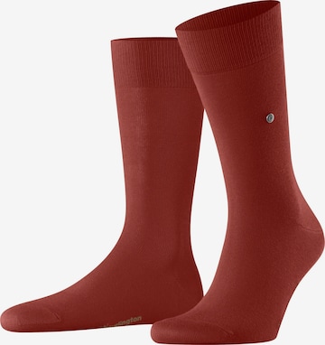 BURLINGTON Socken 'Lord' in Rot: Vorderseite
