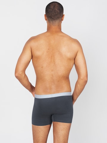 Erlich Textil Boxershorts 'Gustav' in Grau