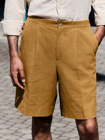 Next Regular Pleated Pants in Brown