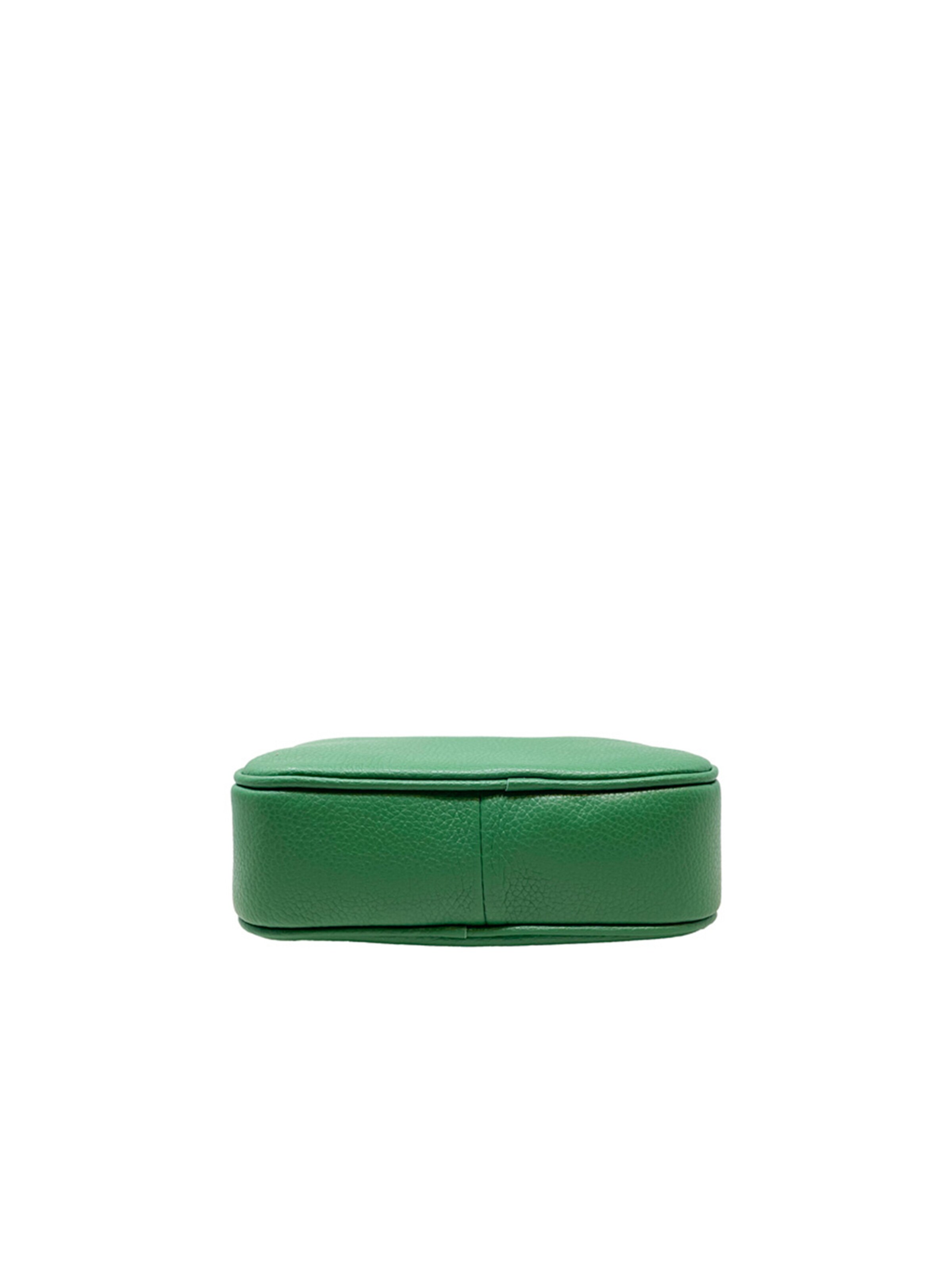 Sac à bandoulière CHICCA BORSE en vert