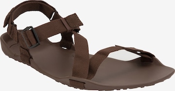 Xero Shoes Sandals 'Z-Trek' in Brown: front
