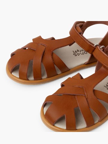 Pisamonas Sandale‌‌‌‌‌‌‌ in Braun