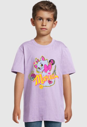 ABSOLUTE CULT T-Shirt in Lila: Vorderseite