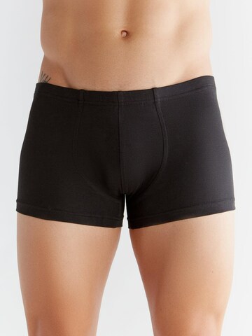 Albero Natur Boxer shorts 'Bio-Baumwoll-Herren Retroshorts -2er Pack' in Black: front