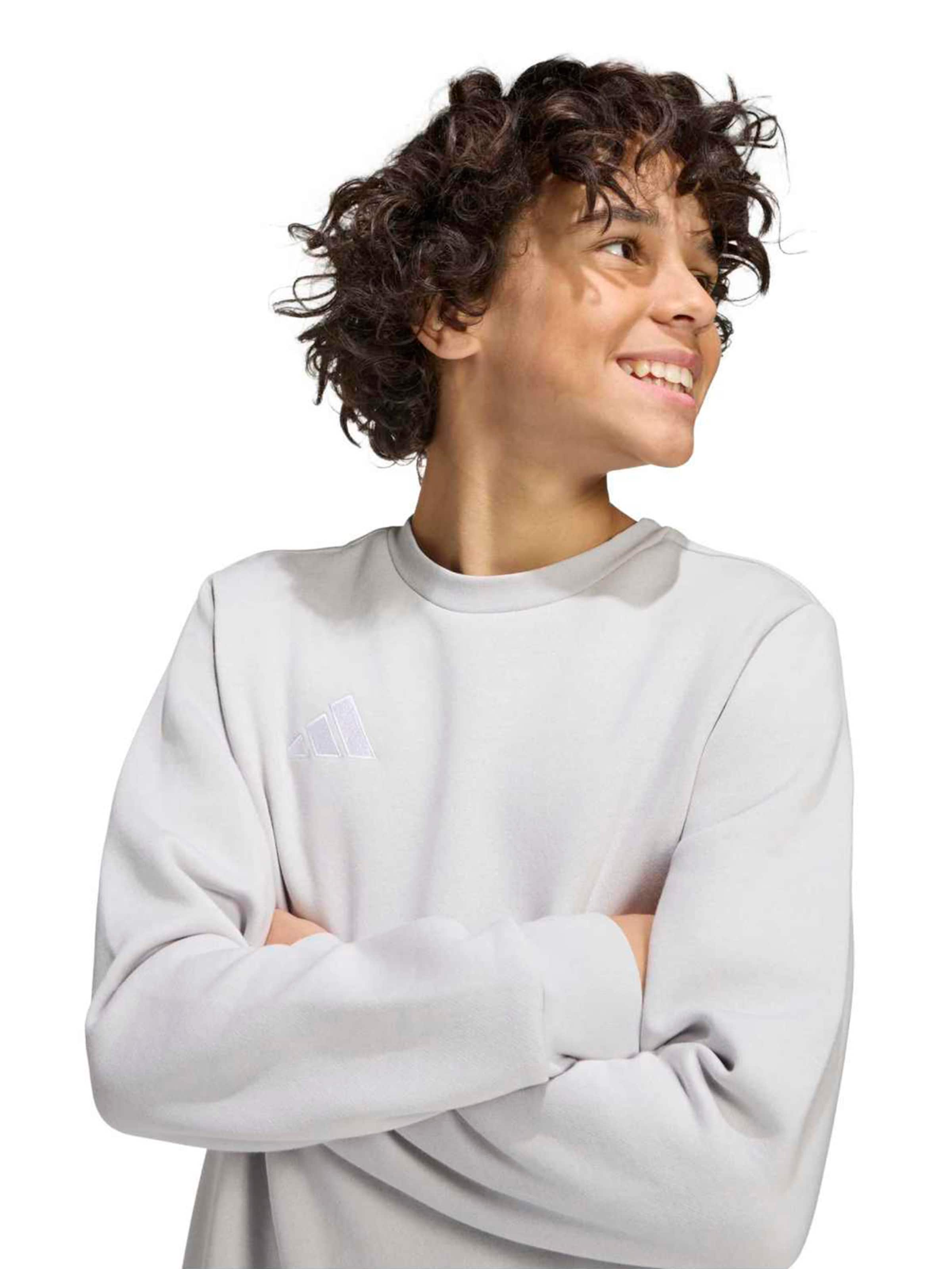 Hanorac sport 'ENT26' de la ADIDAS PERFORMANCE pe gri