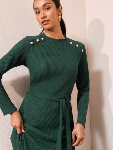 Friends Like These Kleid in Grün