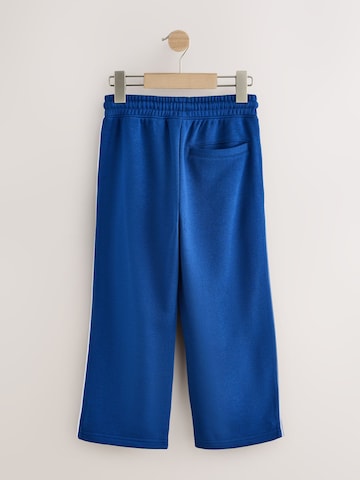Next Wide Leg Hose in Blau