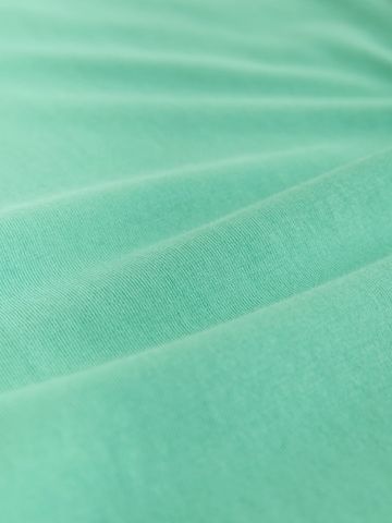 Next T-Shirt in Grün