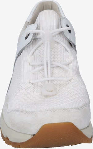 JOSEF SEIBEL Sneakers 'Jonah' in White