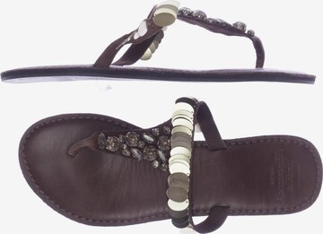 Abercrombie & Fitch Sandalen 37,5 in Braun: predná strana