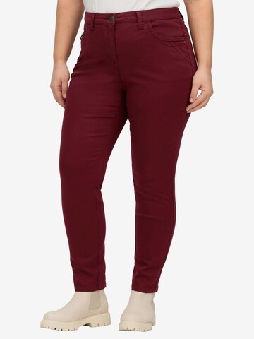 SHEEGO Slim fit Pants in Red: front