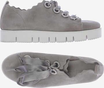 Kennel & Schmenger Flats & Loafers in 36 in Grey: front