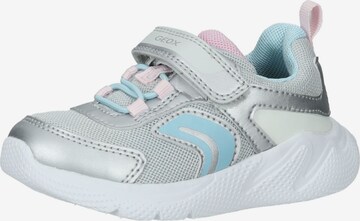 GEOX Sneakers in Silver: front