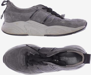 Kennel & Schmenger Sneakers & Trainers in 38 in Grey: front